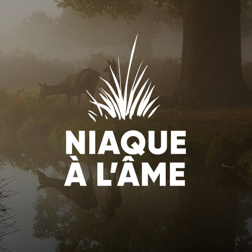 Logo de l'association Niaque A l'Âme, créé par Mathieu Betton, webdesigner en freelance à Nantes.